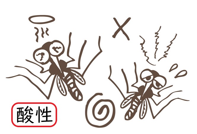 車のボデーに付いた虫の死骸や鳥のフン スルッと取れます 元自動車整備士のまめ知識 Part 1